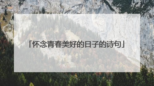 怀念青春美好的日子的诗句