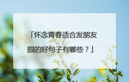 怀念青春适合发朋友圈的好句子有哪些?