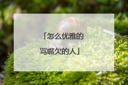 怎么优雅的骂嘴欠的人
