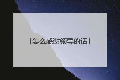 怎么感谢领导的话