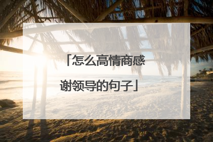 怎么高情商感谢领导的句子