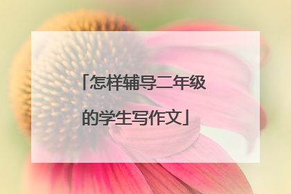 怎样辅导二年级的学生写作文