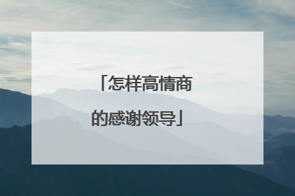 怎样高情商的感谢领导