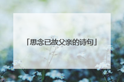 思念已故父亲的诗句