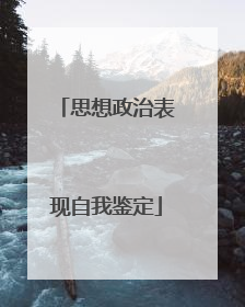 思想政治表现自我鉴定