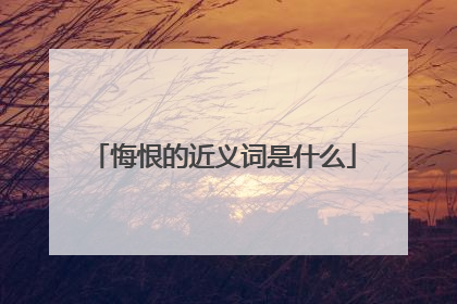 悔恨的近义词是什么