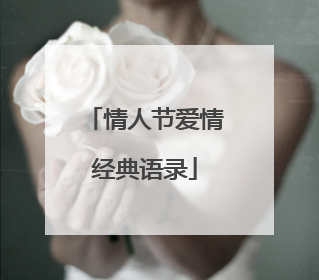 情人节爱情经典语录