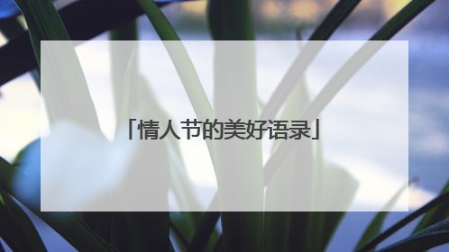 情人节的美好语录