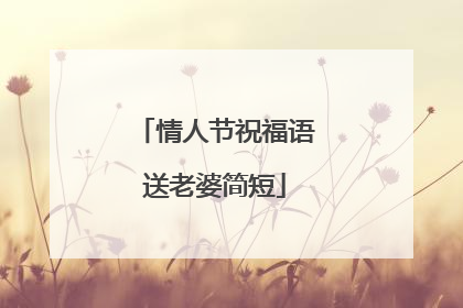 情人节祝福语送老婆简短