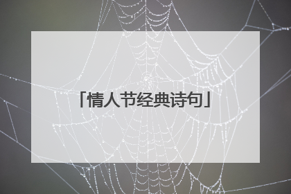 情人节经典诗句