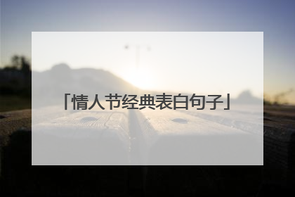情人节经典表白句子