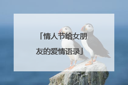 情人节给女朋友的爱情语录