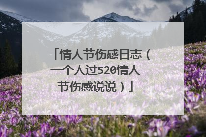 情人节伤感日志（一个人过520情人节伤感说说）