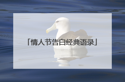 情人节告白经典语录