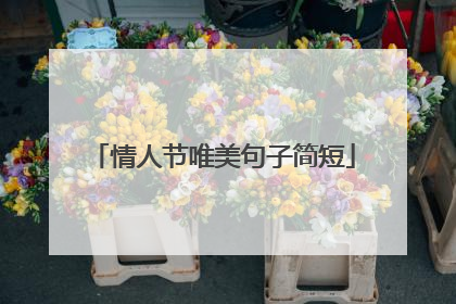 情人节唯美句子简短