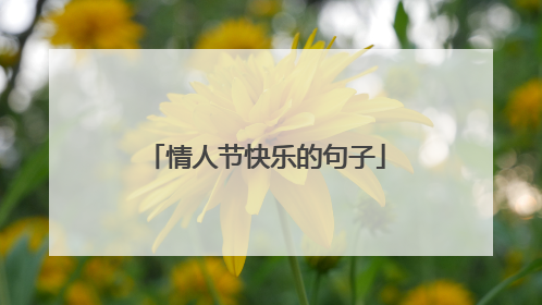 情人节快乐的句子