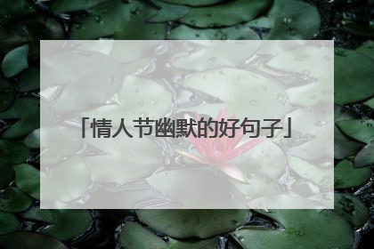 情人节幽默的好句子