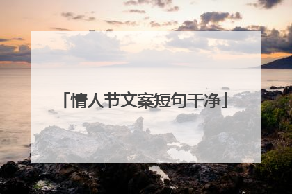情人节文案短句干净