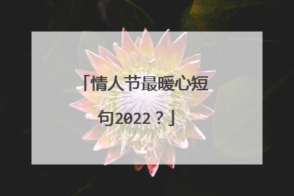 情人节最暖心短句2022?