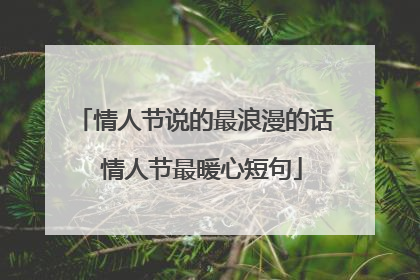 情人节说的最浪漫的话 情人节最暖心短句