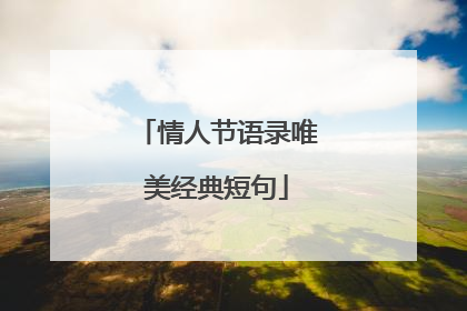 情人节语录唯美经典短句