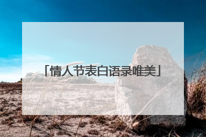 情人节表白语录唯美