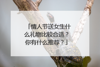 情人节送女生什么礼物比较合适？你有什么推荐？