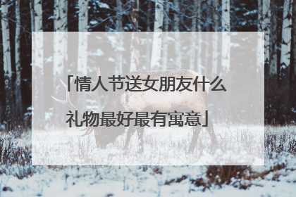 情人节送女朋友什么礼物最好最有寓意
