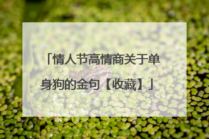 情人节高情商关于单身狗的金句【收藏】