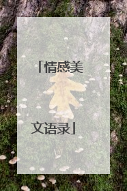 情感美文语录