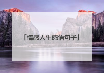 情感人生感悟句子
