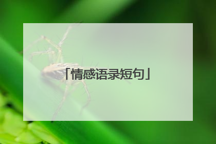 情感语录短句