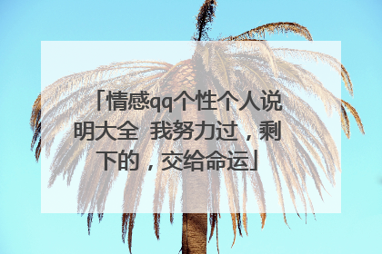 情感qq个性个人说明大全 我努力过，剩下的，交给命运