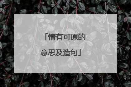 情有可原的意思及造句