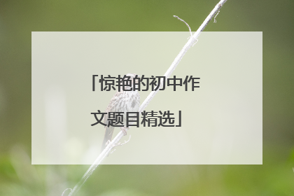 惊艳的初中作文题目精选