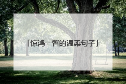 惊鸿一瞥的温柔句子