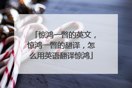 惊鸿一瞥的英文，惊鸿一瞥的翻译，怎么用英语翻译惊鸿
