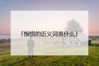 惋惜的近义词是什么