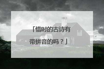 惜时的古诗有带拼音的吗?