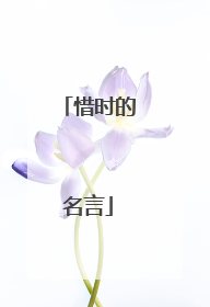 惜时的名言