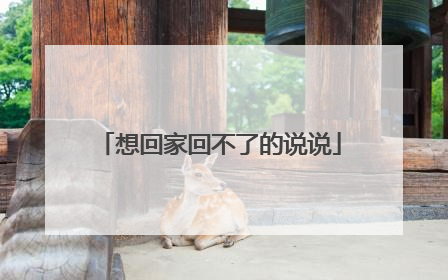 想回家回不了的说说