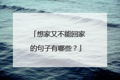 想家又不能回家的句子有哪些?