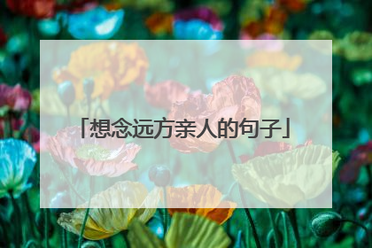 想念远方亲人的句子