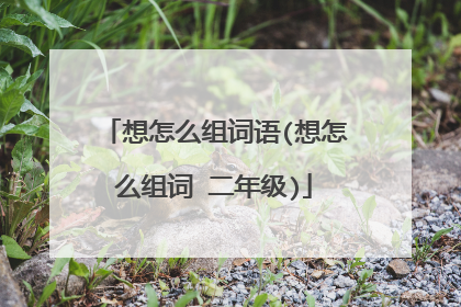 想怎么组词语(想怎么组词 二年级)