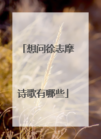 想问徐志摩诗歌有哪些