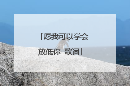 愿我可以学会放低你 歌词