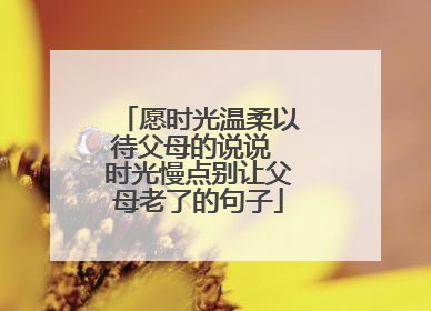 愿时光温柔以待父母的说说 时光慢点别让父母老了的句子