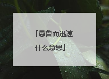 愚鲁而迅速什么意思