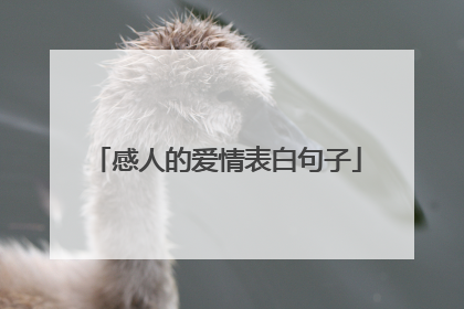 感人的爱情表白句子