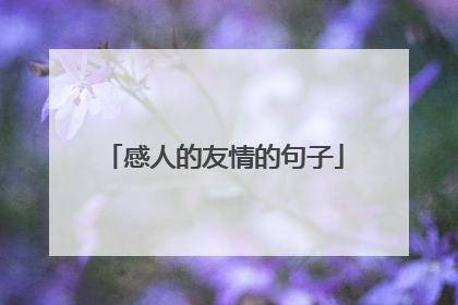 感人的友情的句子
